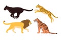 Vector set of flat wild big cats Royalty Free Stock Photo