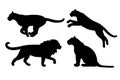 Vector set of flat wild big cats silhouette Royalty Free Stock Photo