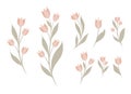 Vector set of floral clipart. Collection of pink flowers on stems in flat style isolated from background. I Royalty Free Stock Photo