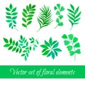 Vector set of floral collection with leaves drawing watercolor