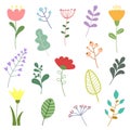 Vector set of floral elements with hand drawn flowers and leaves. Flower graphic design. Herbs and wildflowers collection. Royalty Free Stock Photo