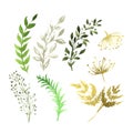 Vector Set of flowers painted in watercolor on