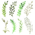 Vector Set of flowers painted in watercolor on