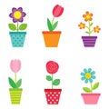 Vector set of flowers in pots