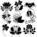 Vector Set of Flowers. Stencils Isolated