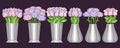 Vector set of Flowers in Vases