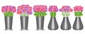 Vector set of Flowers in Vases Royalty Free Stock Photo