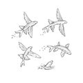 Vector set flying fish jumping dive and swim. Monochrome black sketch sea animals isolated on white background for