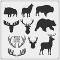 Vector set of Forest animals silhouette. Hunting club design. Royalty Free Stock Photo