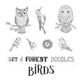 Vector set of forest doodles birds.