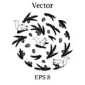 Vector set of forest elements: squirrels, pine branches and cone