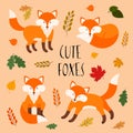 Vector set of four cute foxes and autumn leaves.