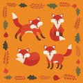 Vector set of four cute foxes and autumn leaves.
