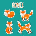 Vector set of four cute foxes.