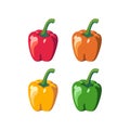 Vector Set of four different colored paprika, Colored Yellow Green Orange and Red Sweet Bulgarian Bell Peppers Royalty Free Stock Photo