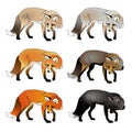 Vector set foxes