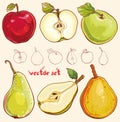 Vector set with fresh apples and pears Royalty Free Stock Photo