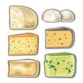 Vector set of fresh Cheese