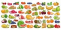 Vector set of fresh Fruits and Berries Royalty Free Stock Photo