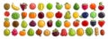 Vector set of fresh Fruits Royalty Free Stock Photo