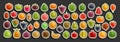 Vector set of fresh Fruits Royalty Free Stock Photo