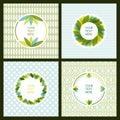 Vector set of fresh green leaves frame and seamless pattern. Nat Royalty Free Stock Photo