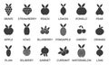 Vector set of fruit line icons. Black filled icons. Contains commonly used fruits
