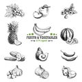 Vector set of fruit and vegetables