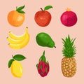 Vector set of fruits isolated on pink background Royalty Free Stock Photo