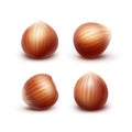 Vector Set of Full Unpeeled Realistic Hazelnuts Close up Isolated on Background