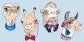 Vector set funny animal faces Royalty Free Stock Photo