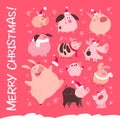 Vector set of funny Christmas flat different pig characters in Santa hat isolated on pink snowy background.