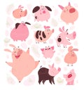 Vector set of funny flat different pig characters design isolated on white background.