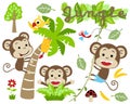 Monkeys cartoon with banana tree, bird, dragonfly, trees in jungle