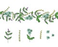 Vector set of garden plant design elements and pattern brush with stylized forget-me-not, basil, oregano. Hand drawn cartoon style