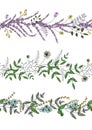 Vector set of garden plant pattern brushes with stylized lavender, forget-me-not, basil, dandelion. Hand drawn cartoon style