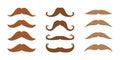 Vector set of gentelman brown mustaches illustration. Photo prop male mustache for masquerade, carnival or party