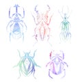 Vector set of geometric insects with poly decorations and watercolor background. Geometric stag beetle and flying ant in gentle