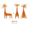 Vector set. Giraffes.