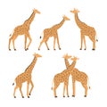 vector set of giraffes in different poses