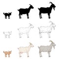 Vector Set of Goats. Silhouette, Sketch and Cartoon Illustrations