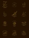 Vector set of golden packaging design templates and emblems. Argan, aloe, peanut, almond, eucalyptus, tea, chamomile and pistachio