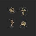 Vector set of packaging design templates and emblems - beauty and cosmetics oils - cocoa, lavender, jojoba and