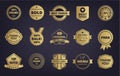 Vector set of golden shop vintage, retro badges, labels, tags. Store signs Royalty Free Stock Photo