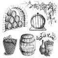 Vector set of grape and wine barrels