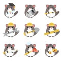 Vector set of gray cats various professions: