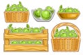 Vector set of Green Apples