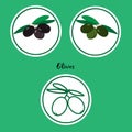 Vector set of green and black olive icons in flat style Royalty Free Stock Photo