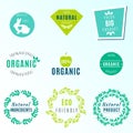 Vector Set of green labels and badges with leaves for organic, natural, bio and eco friendly products, isolated on white