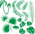 Vector set green leaves Royalty Free Stock Photo